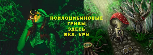 МДПВ Белокуриха